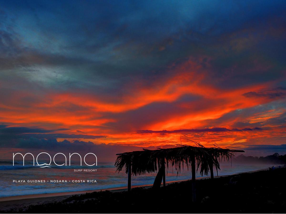 Moana Surf Resort Nosara Exterior foto